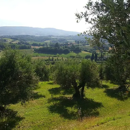 Montevenere 83 Holiday home Chiusi