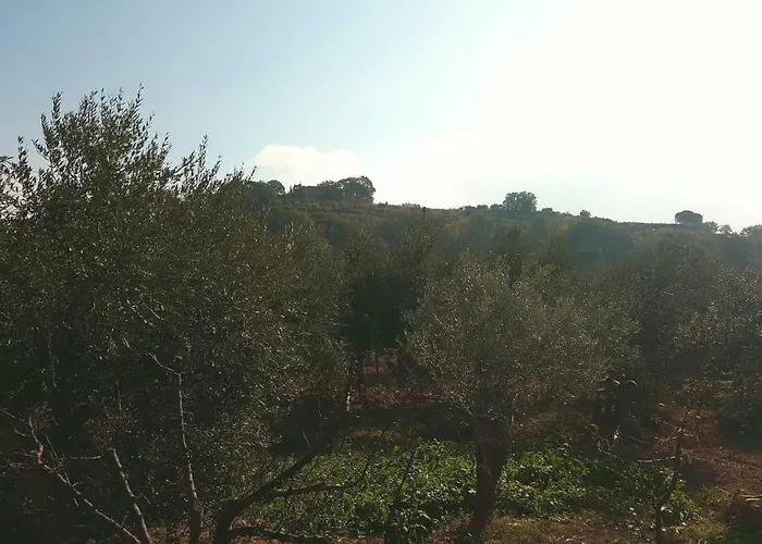 Ferienhaus Montevenere 83 Chiusi